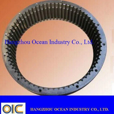 Große Größe interner Ring Gear fournisseur